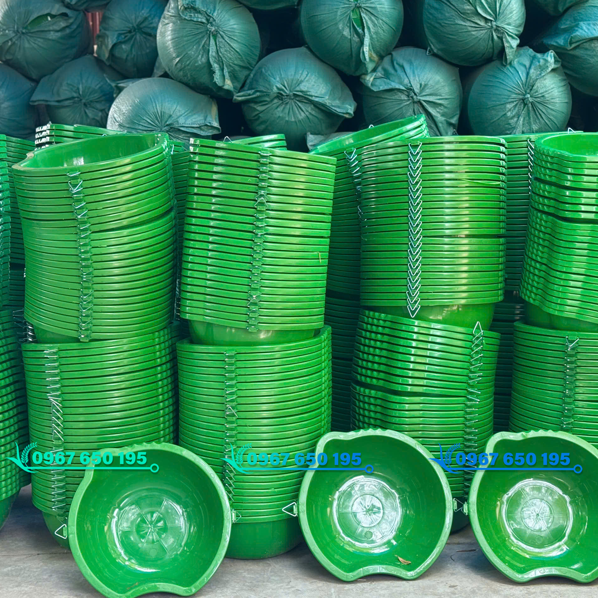 Thau rải phân bón, thúng rắc phân